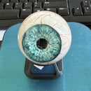 Realistic Monster Eye Resin Decor