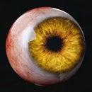 Realistic Monster Eye Resin Decor